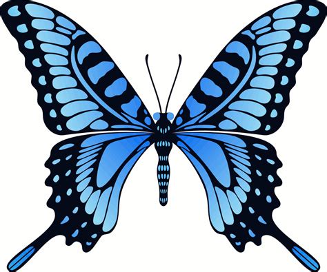 Flying Blue Butterfly Animation GIF By CenCerberon On DeviantArt