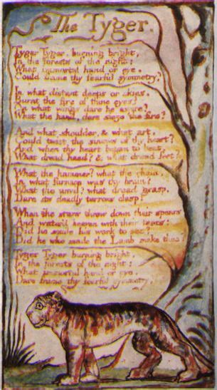 1pena11 William Blake The Tyger