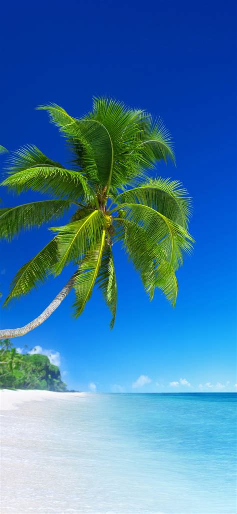 Beach Wallpapers For Phone With Picture Of Beautiful Tropical Beach And