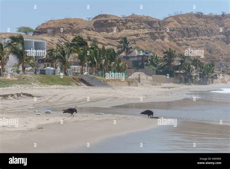 Sand Beach View Of Mancora Peru Stock Photo Alamy