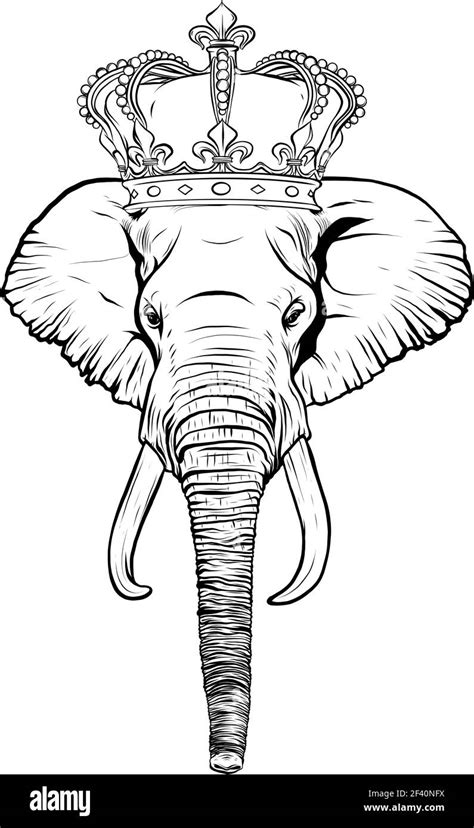 Dibuja En Blanco Y Negro De Elefante Cabeza Con Corona Ilustración