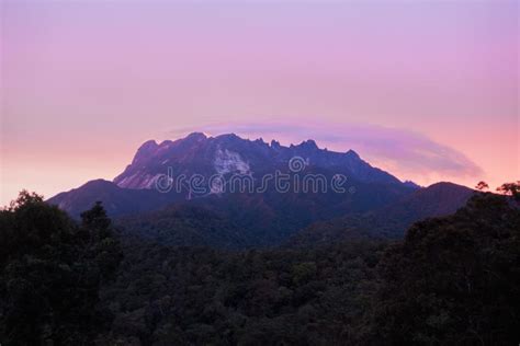 Mount Kinabalu Park View At Sunset Stock Photo Image Of Jungle