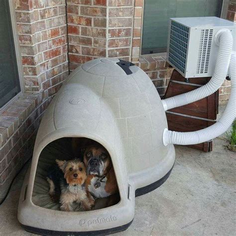 Dog House With Air Conditioning