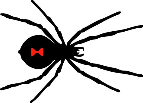 Illustration Of A Black Widow Spider Free Stock Illustrations Creazilla