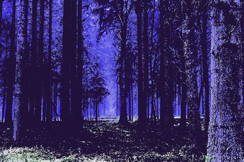 Deep Purple Forest Painting By Celestial Images Fine Art America