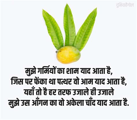 आम पर शायरी स्टेटस Mango Shayari Status Quotes In Hindi दुनियाहैगोल