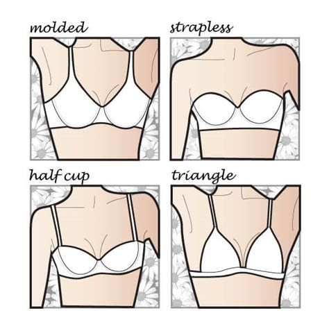 Bra Styles Uncovered Bra Definitions Images Bra Doctor S Blog By Now That S Lingerie