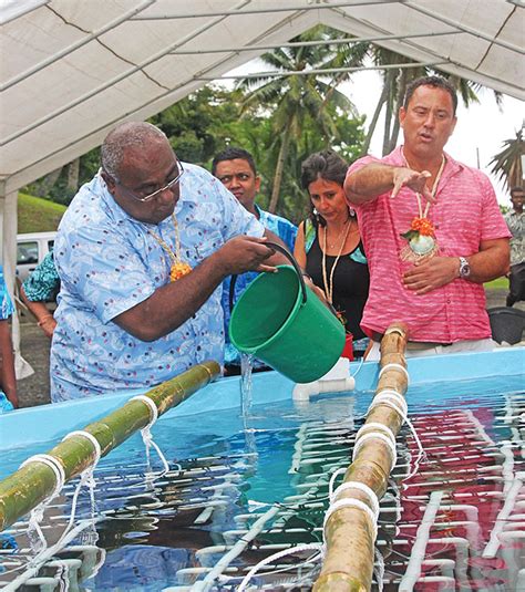 A Closer Look At Luxury Farming In Fijis Pearl Hatchery Hatchery