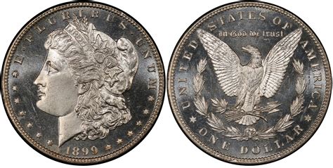 Images Of Morgan Dollar 1899 1 Dmpl Pcgs Coinfacts