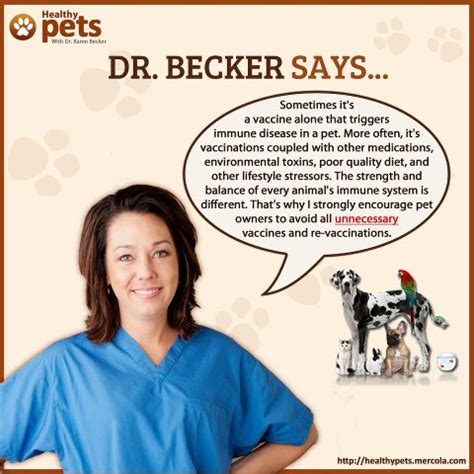 Puppies need a booster 1 year after completing their initial series, then all dogs need a booster every 3 years or more often. New Adopted Dog Care