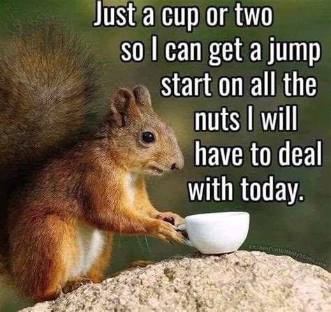 Pin By Julie Trottier On Coffee Humor 2 Morning Quotes Funny Coffee