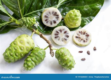 Noni Fruit Or Morinda Citrifolia And Noni Slice With Seed And Green