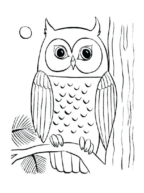 Realistic Owl Coloring Pages At Home With Crab Apple Designs Pic