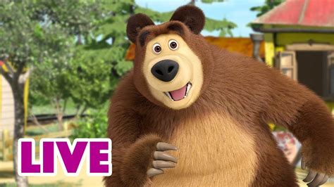 🔴 live stream 🎬 masha and the bear 😳👍 no time to think 😳👍 youtube