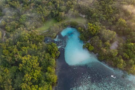 OCALA NATIONAL FOREST: An (Epic) Guide to Florida's Hidden Gem