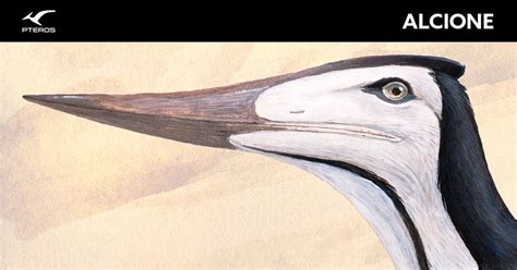 Alcione Pteros Kingfisher Bird Jurassic Park World Kingfisher