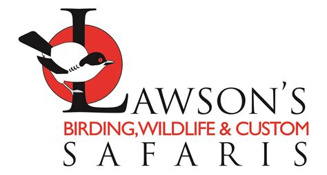 Essential Namibia Birding Lawsons Birding Wildlife