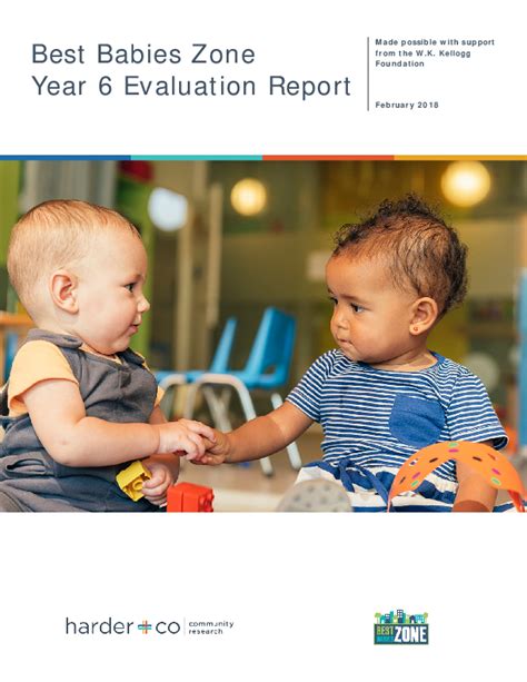 Best Babies Zone Year 6 Evaluation Report