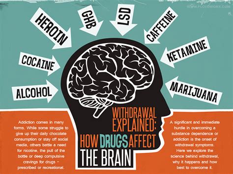 How Drugs Affect The Brain Infographic By Csaba Gyulai On Dribbble
