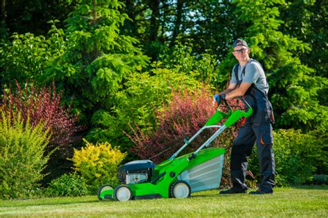 Professional Commercial Lawn Care Services Procursys