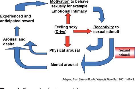 Figure 1 From Sexual Desire And Hypoactive Sexual Desire Disorder In