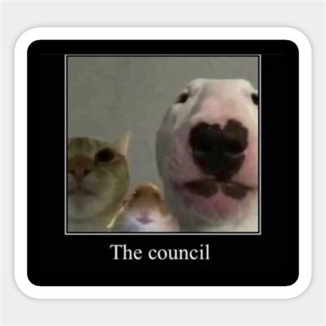 The Council Meme Walter Limited Edition Meme Sticker Teepublic