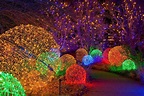 Denver Botanic Gardens Blossoms of Light | Nov-Jan Holiday Event