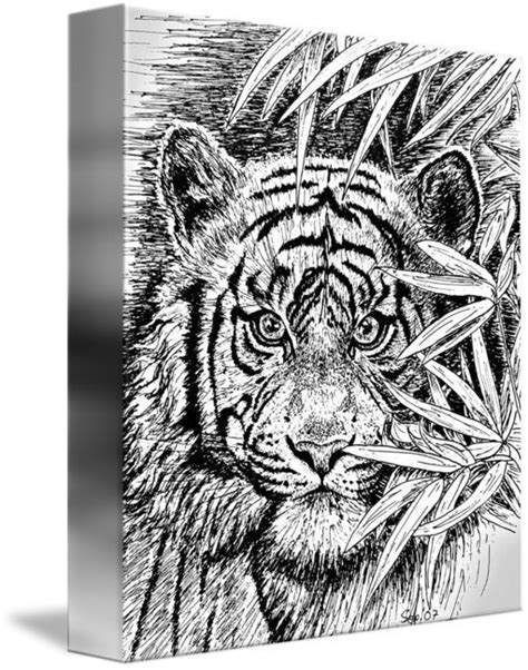 King Of The Jungle In Black And White by Gitta Gläser Canvas art