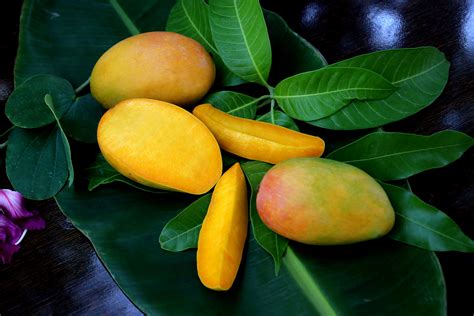 Buy Indian Mangoes Online Queen Kesar Mango T Mango Usa Savanifarms