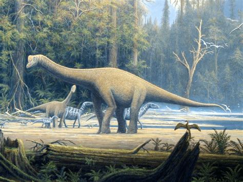 Sauropod History And Some Interesting Facts
