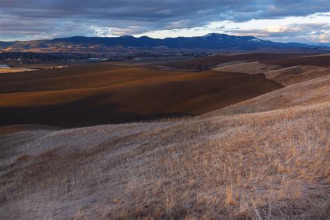 Palouse Photography Waiting For The Right Light Matthew Singer