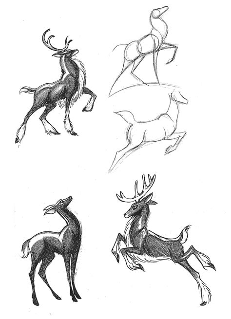Deer Art Reference Buck Deer Signtorch Turning Images Into Vector