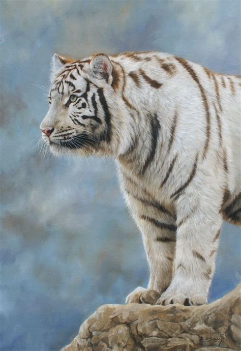 White Tiger Painting By David Stribbling Tiger Tigerart Wildlifeart