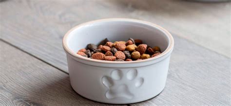 10 Best Puppy Foods In 2023 Reviewed 🥰 Top Rated Vet Recommended Food