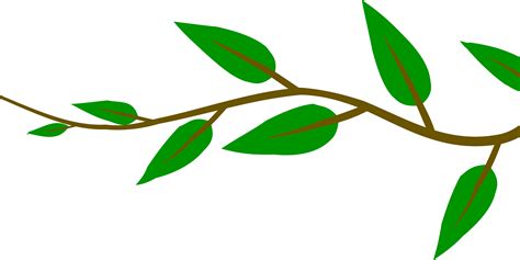 Branch With Leaves Clipart Clear Background Pictures On Cliparts Pub