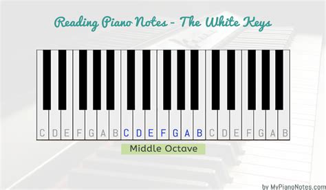 How To Read Piano Notes Beginners Guide