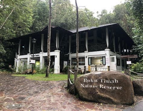 guide to bukit timah nature reserve and hindhede nature park nestia