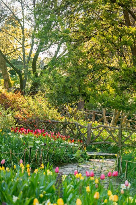 15 ICONIC Things to Do in Central Park (Happy Local's Guide) Bethesda