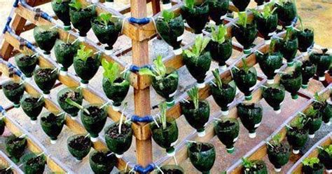 20 Cool Vertical Gardening Ideas Vertical Vegetable