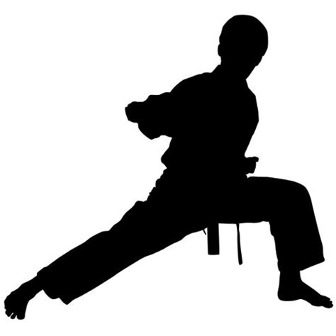 Martial Arts Wall Decal Sticker 32 Decal Stickers And Mural For Kids