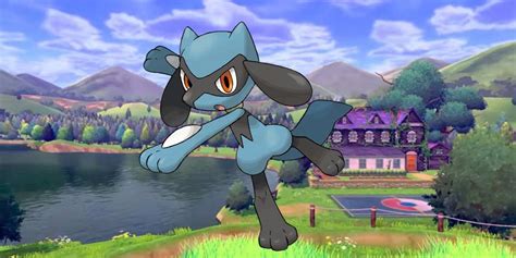 23 Awesome And Fascinating Facts About Riolu From Pokemon - Tons Of Facts