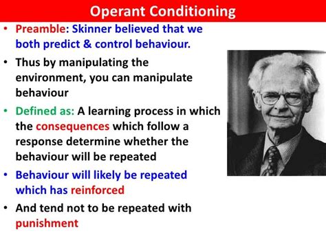 Skinner Box Vce U4 Psychology