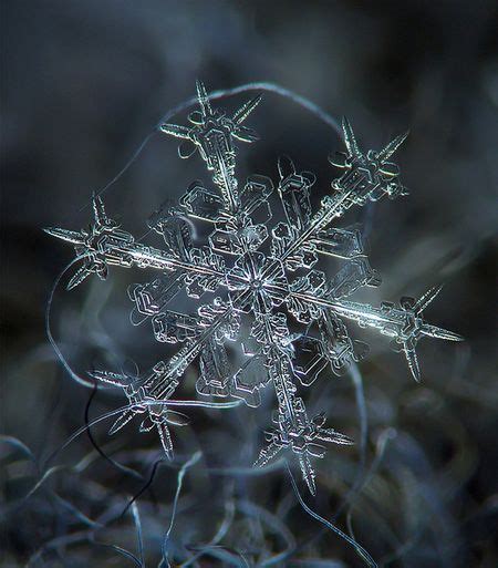 Stunning Snowflakes Photographs With Images Amazing