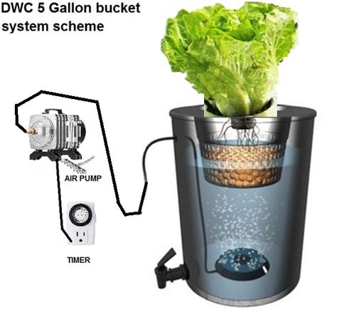 How To Build 5 Gallon Bucket Hydroponic System Actual