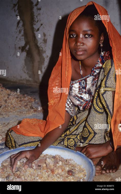Gum Arabic Hausa Woman Removing Straw And Dirt By Hand Niamey Niger