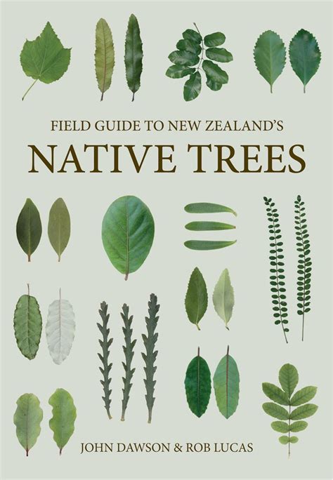 Field Guide To Native Trees Revised John Dawson And Rob Lucas Forest