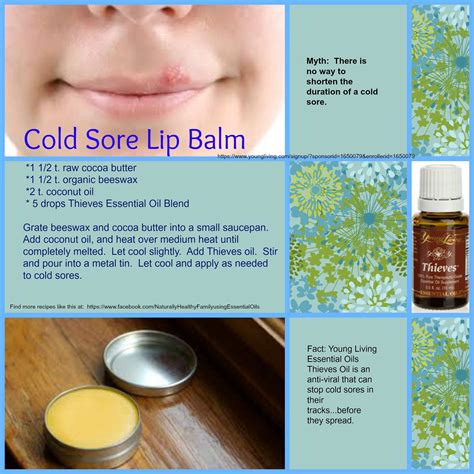 Cold Sore Lip Balm Essential Oils For Colds Living Essentials Oils