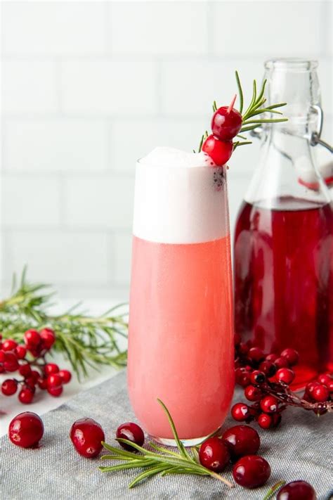 Holiday Cranberry Gin Fizz Cocktail Thanksgiving Or Christmas Cocktail