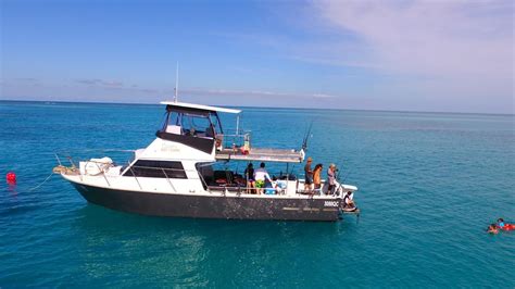Full Day Reef Fishing Private Charter Blue Whaler Cairns Reef