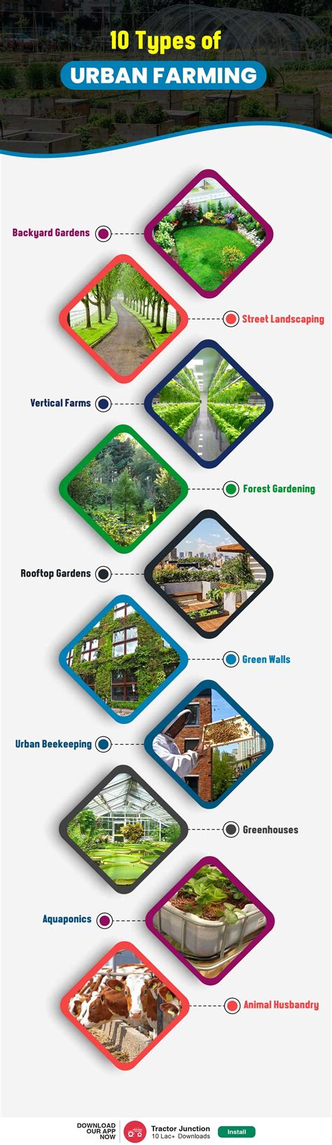What Is Urban Farming In India Types Process And Benefits